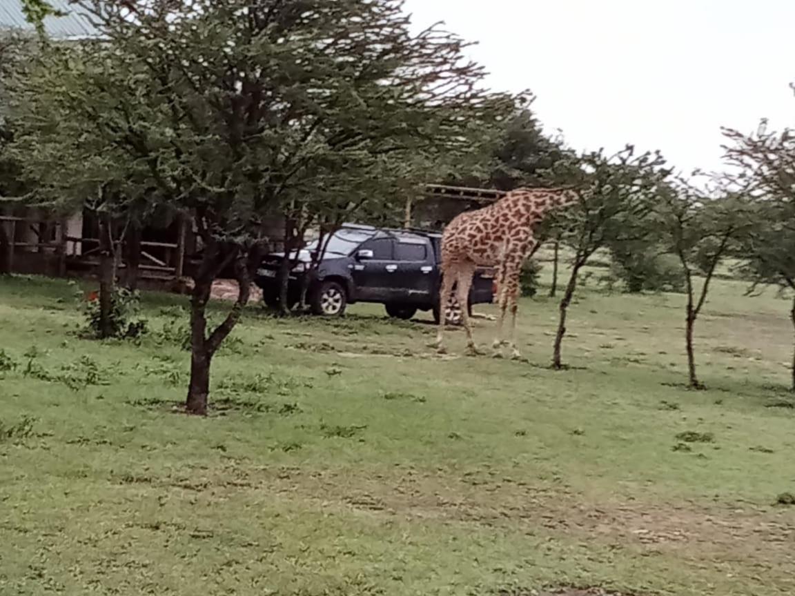 Narasha Homestay - Maasai Mara Talek Екстер'єр фото