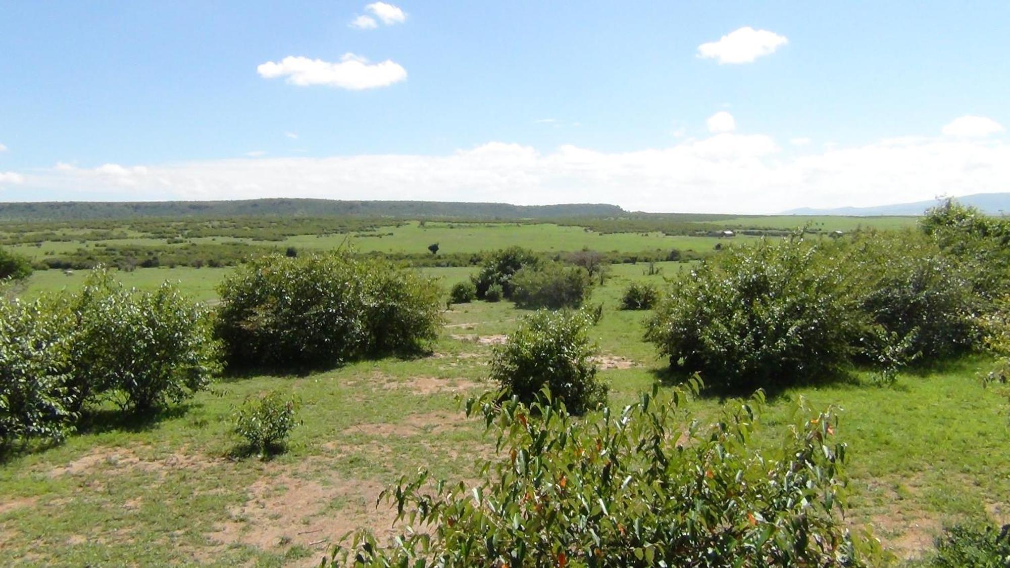 Narasha Homestay - Maasai Mara Talek Номер фото