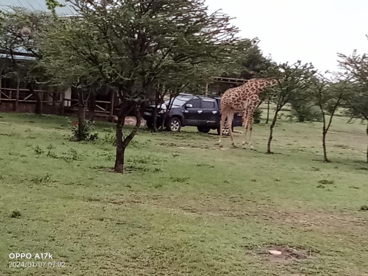 Narasha Homestay - Maasai Mara Talek Номер фото