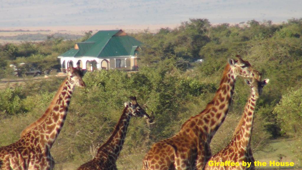 Narasha Homestay - Maasai Mara Talek Екстер'єр фото