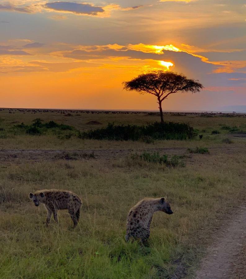 Narasha Homestay - Maasai Mara Talek Екстер'єр фото